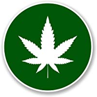 Artículos de Marihuana en Tiendas Online